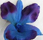 flower 1